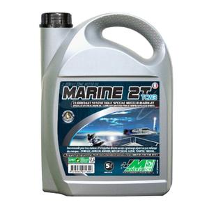 25917-motorfiets-motorolie-minerva-oil-tcw3-100-france-5-l-grijs-5-l