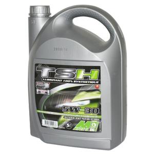 35642-motorfiets-motorolie-minerva-oil-tsh-5w30-100-fap-grijs-5-l
