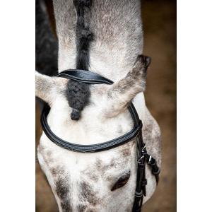 63001-4-veganistisch-leren-hoofdstellen-montar-hunter-eco-zwart