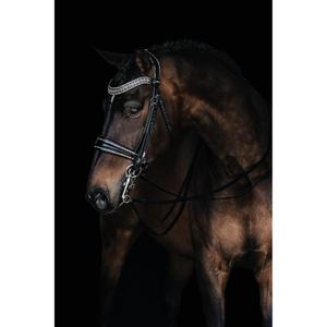 1449-001-hoofdstel-bit-voor-paarden-mrs-ros-johnny-double-zilver-volledig
