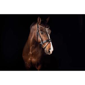 1563-001-hoofdstel-bit-voor-paarden-mrs-ros-deluxe-zwart