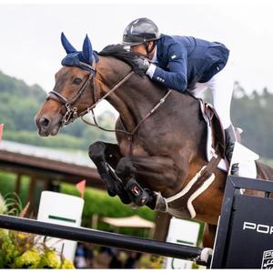 black-horse-f-m-dameshandschoenen-ngb-sport-zwart-m