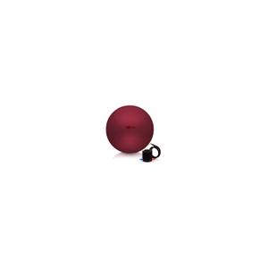 ca01565-gymbal-oko-rood-65-cm