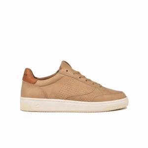 628437150-trainers-pataugas-basalt-n-h2h-beige