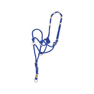 ca00150-turquoise-halster-voor-paarden-pool-s-direction-2020-turquoise-tu