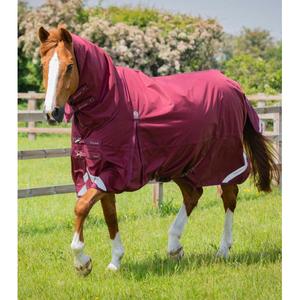 215750brg-waterdichte-paardendeken-met-halsbedekking-premier-equine-buster-storm-classic-90-g-bordeauxrood