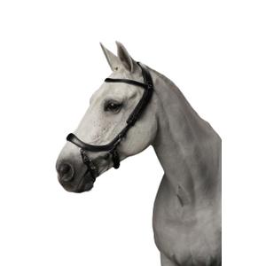 p700-zw-rijhoofdstellen-presteq-faysport-zwart