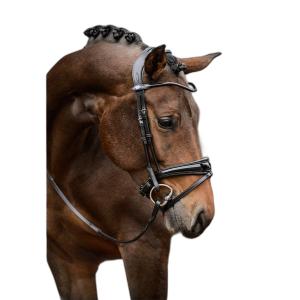 1210-020-996-hoofdstel-ps-of-sweden-gp-black-lacquer