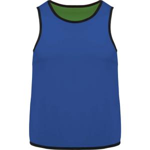 product/p/s/ps_pa046_sportyroyalblue-green.jpg