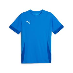 705747-02-jersey-puma-teamgoal-matchday-blauw