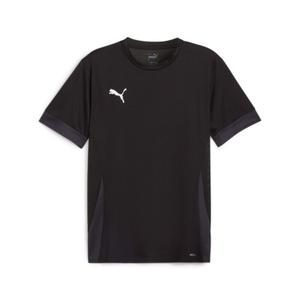 705747-03-jersey-puma-teamgoal-matchday-zwart