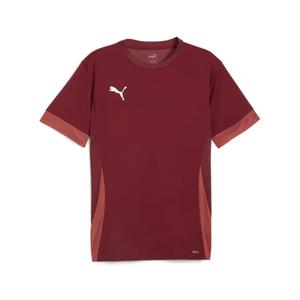 705747-09-jersey-puma-teamgoal-rood