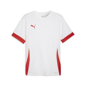 705747-11-jersey-puma-teamgoal-wit
