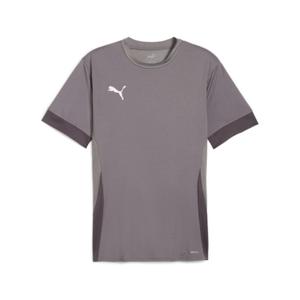 705747-13-jersey-puma-teamgoal-matchday-grijs