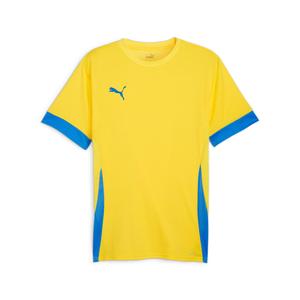 705747-17-jersey-puma-teamgoal-geel