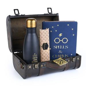 gp85536-box-pyramid-harry-potter-trouble-finds-me-blauw-tu