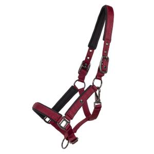 1194-bo-halster-voor-paarden-qhp-deluxe-bordeaux