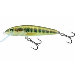 qmw027-drijvend-kunstaas-salmo-minnow-6g-veelkleurig-7-cm