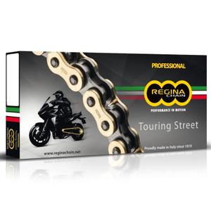 135zrt-1022-100-schakels-ketting-met-2-opzetstukken-regina-zrt-520-gouden-tu