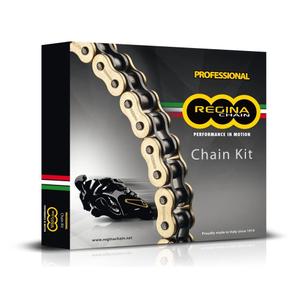 ka037-kettingset-regina-aprilia-1000-rsv4-raprc-11-tuono-v4r-1000-11-zilver-tu