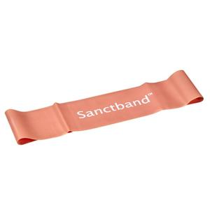 g2130-mini-weerstandsbanden-sanctband-loop-roze-tu