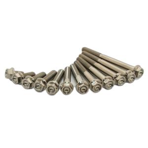 1111418-set-van-49-motorbouten-scar-x49-brons-tu