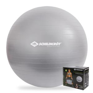 960155-gymbal-schildkrot-zilver