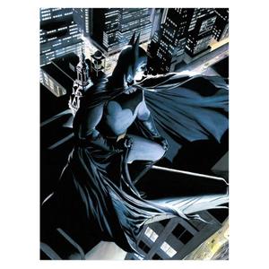 8435450223907-glazen-poster-sd-toys-dc-comics-batman-zwart-blauw-grijs-30x40-cm