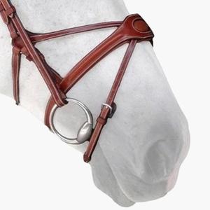n02c-paardenneusriem-silver-crown-spider-conker-volledig