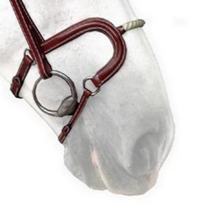 n03ncord-neusriem-cheval-touw-silver-crown-h-australische-noot-volledig