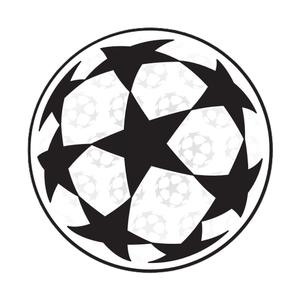 marking-002918-champions-league-2024-badge-wit-zwart