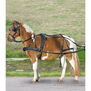 901010-sh-complete-tuig-voor-pony-en-shetland-star-zwart-pony-shetland