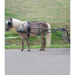 901073-msh-harnas-pad-voor-mini-shetland-star-zwart-mini-shetland