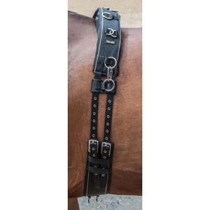 surf01-noir-marron-paard-surfaix-t-de-t-zwart-bruin-pony