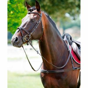 1188099-04-elastische-paardenkraag-met-afneembare-hals-tattini-bruine