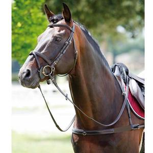 1188099-10-elastische-paardenkraag-met-afneembare-hals-tattini-zwart