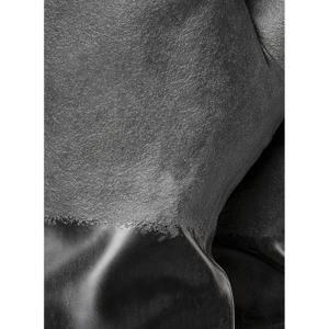 product/t/e/tegera_16_noir_2.jpg