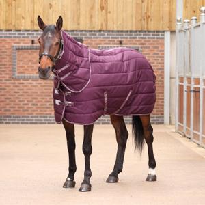 10468-burg-staldeken-met-nekkraag-voor-paard-tempest-original-300g-burg