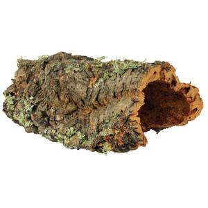 76406-kurk-terrarium-decoraties-trixie-groene-l