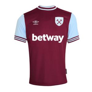 914802-60-1-trainingsshirt-west-ham-2024-25-paars
