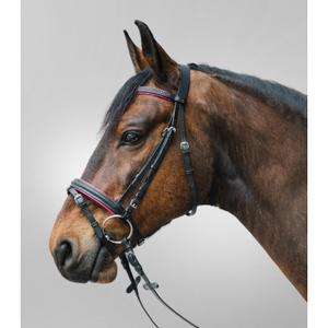 81357054-vb-combine-hoofdstel-met-neusriem-star-diamond-fuchsia