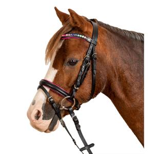 8142501-msh-combine-hoofdstel-met-neusriem-star-pinky-zwart