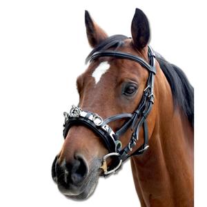 95601001-vb-leren-paardenbox-waldhausen-zwart