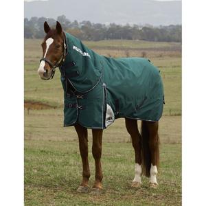 1029003001-afneembare-buitendeken-voor-paarden-met-hals-weatherbeeta-comfitec-plus-dynamic-100g-forest-green-navy