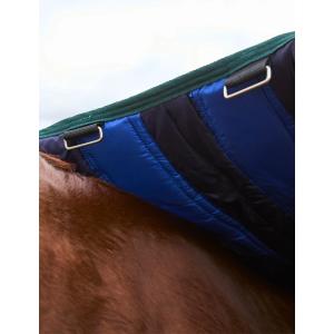 product/w/e/weatherbeeta-1029007010-navy-forest-green-4.jpg