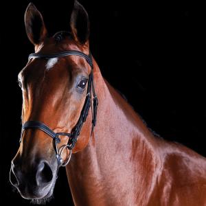 816078-818443-hoofdstellen-voor-paardentraining-weatherbeeta-collegiate-comfitec-zwart