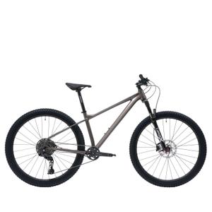 rambler-17-gris-mountainbike-welt-rambler-grijs