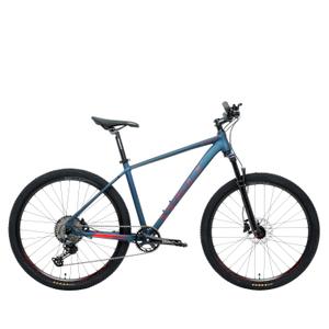 ranger-3-0-29-18-mountainbike-welt-ranger-3-0-29-blauw